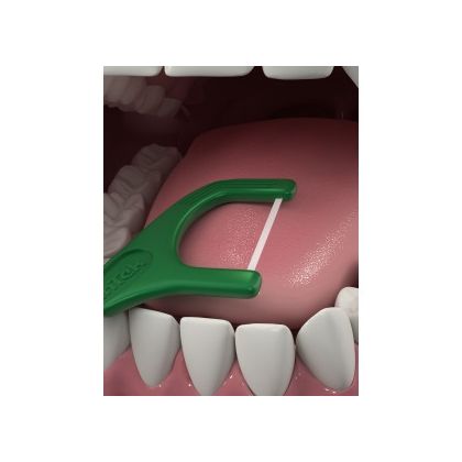 DenTek Освежающее очищение Флосс-зубочистки, 75 шт. in «Denta.UA»