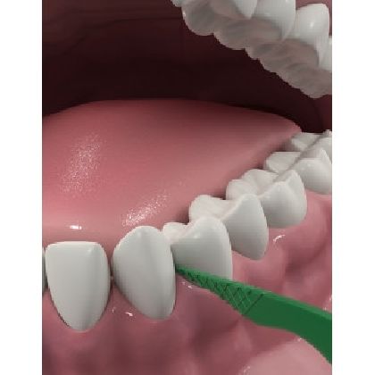 DenTek Освежающее очищение Флосс-зубочистки, 75 шт. in «Denta.UA»